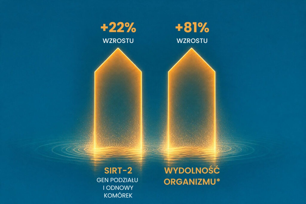 Energia i regeneracja