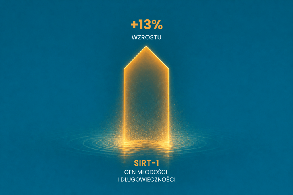 Ochrona młodości