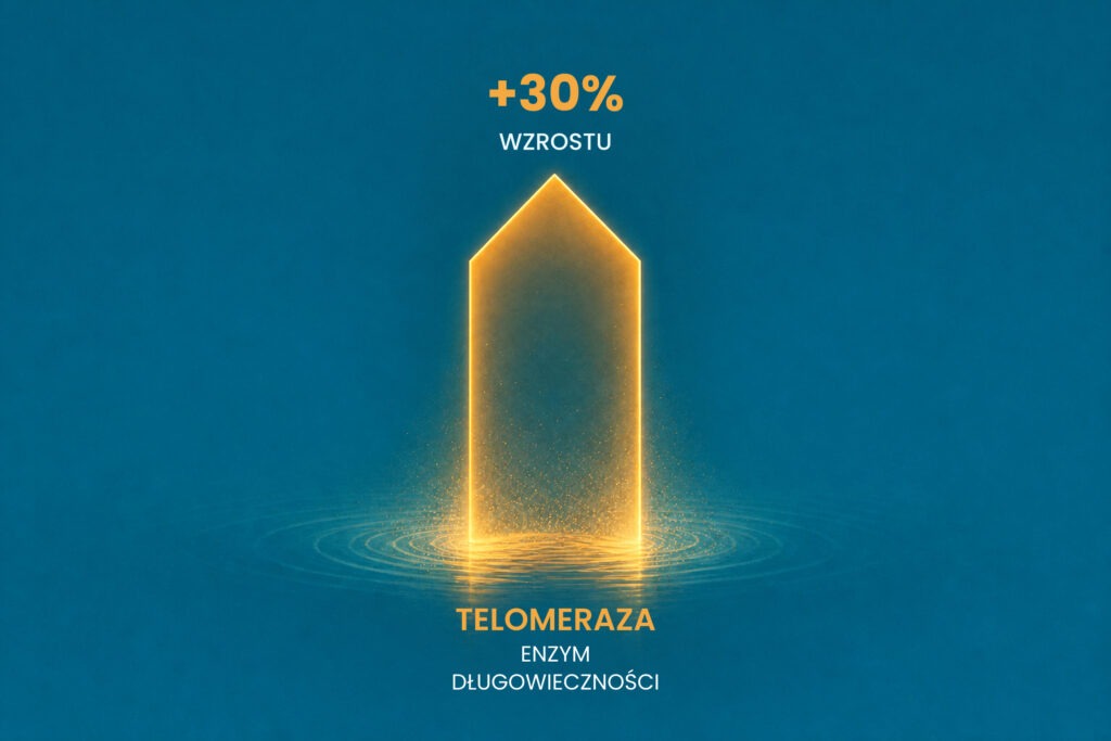 Zegar biologiczny komórki